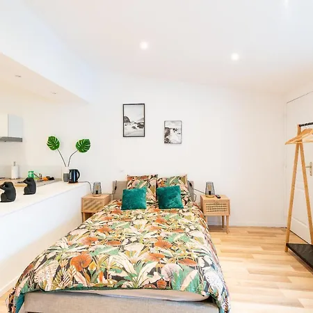 Le Nouveau Saint Waast - Confortable, Cosy Et Equipe - Places Gratuites A Proximite Apartament Anzin