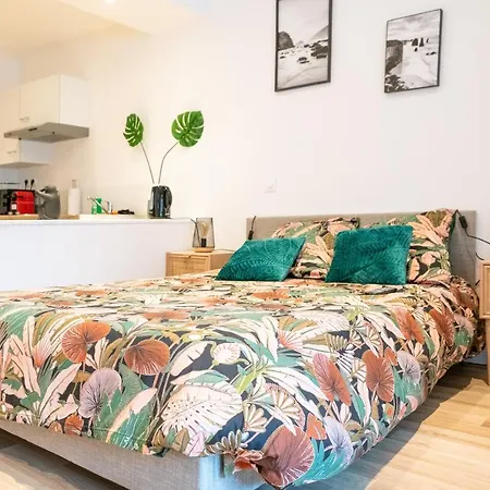 Le Nouveau Saint Waast - Confortable, Cosy Et Equipe - Places Gratuites A Proximite Lejlighed