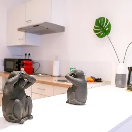 公寓 Le Nouveau Saint Waast - Confortable, Cosy Et Equipe - Places Gratuites A Proximite Anzin