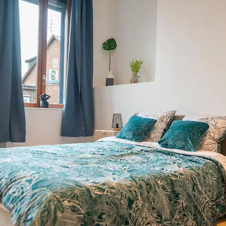 Le Nouveau Saint Waast - Confortable, Cosy Et Equipe - Places Gratuites A Proximite Lejlighed Anzin