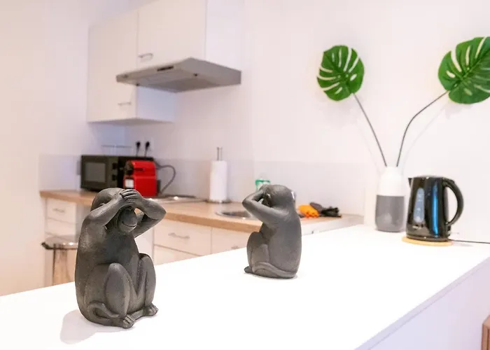 Appartement Le Nouveau Saint Waast - Confortable, Cosy Et équipé - Places Gratuites à Proximité Anzin